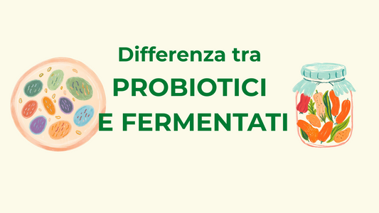 Differenza tra probiotici e fermentati